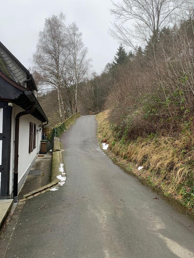 Berghaus 2 Komfortable Wohnungen Fuer Bis Zu 7 Personen - Familie - Wandern - E-Bike - Hunde - E-Ladesaeule - Wifi Schmallenberg Esterno foto
